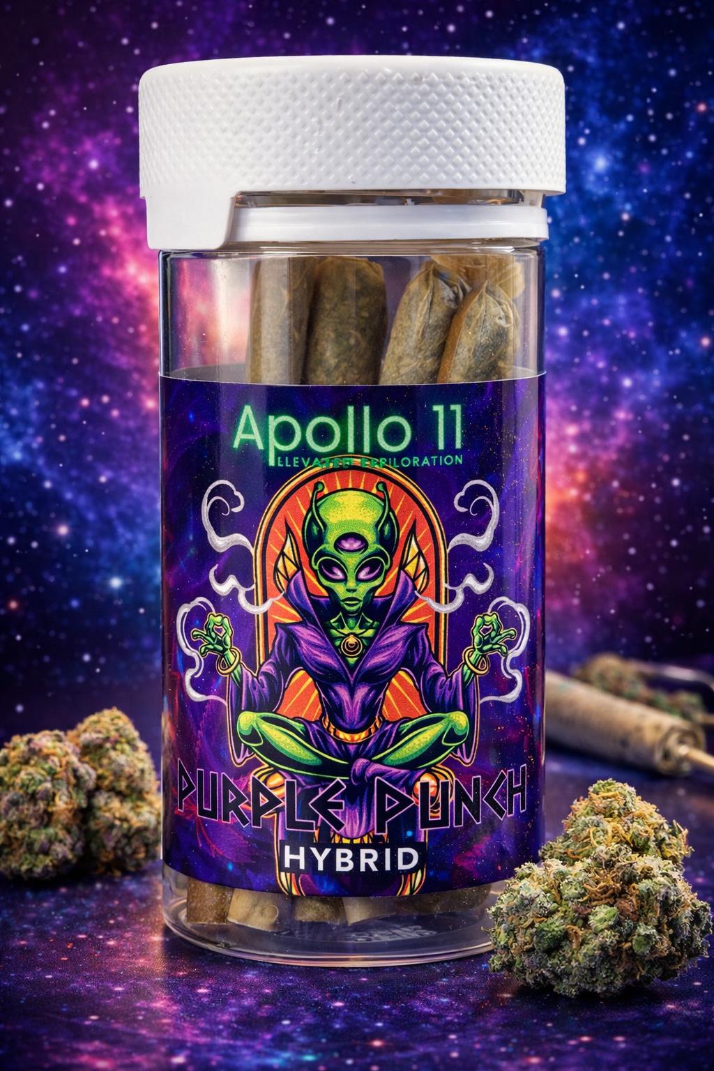10 PCS HYBRID PURPLE APOLLO 11