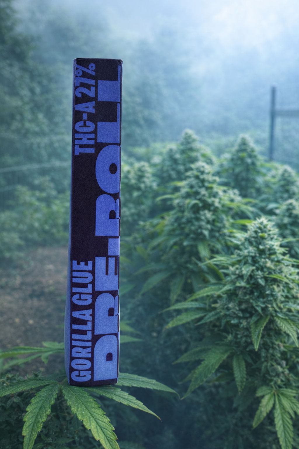 10 PCS GORILL GLUE THCA PRE ROLL